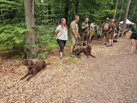 waldfest 4