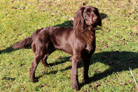 gundi von der riedleite